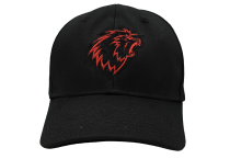 Casquettes