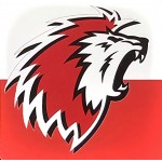 Magnet logo