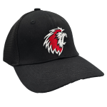 Casquette logo