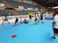 Unihockey_FansLHC_205