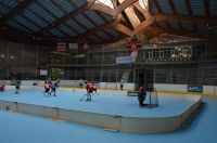 Unihockey_FansLHC_003