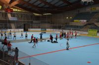 Unihockey_FansLHC_013