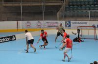 Unihockey_FansLHC_016