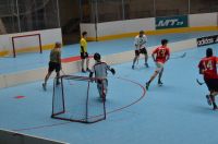 Unihockey_FansLHC_017