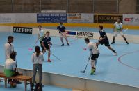 Unihockey_FansLHC_019