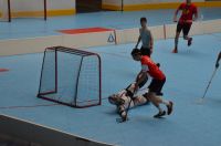 Unihockey_FansLHC_021