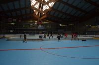 Unihockey_FansLHC_025