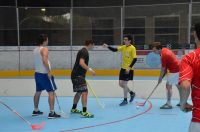 Unihockey_FansLHC_030