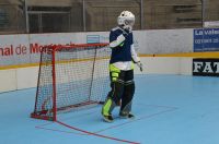 Unihockey_FansLHC_042