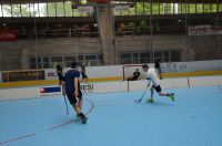 Unihockey_FansLHC_043