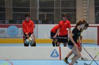 Unihockey_FansLHC_060