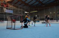 Unihockey_FansLHC_066