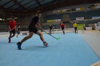 Unihockey_FansLHC_086