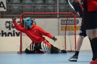 Unihockey_FansLHC_094