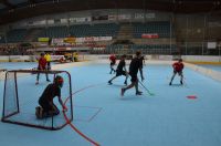 Unihockey_FansLHC_096
