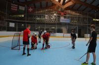 Unihockey_FansLHC_098
