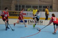 Unihockey_FansLHC_121