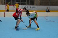 Unihockey_FansLHC_122