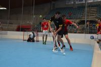 Unihockey_FansLHC_161